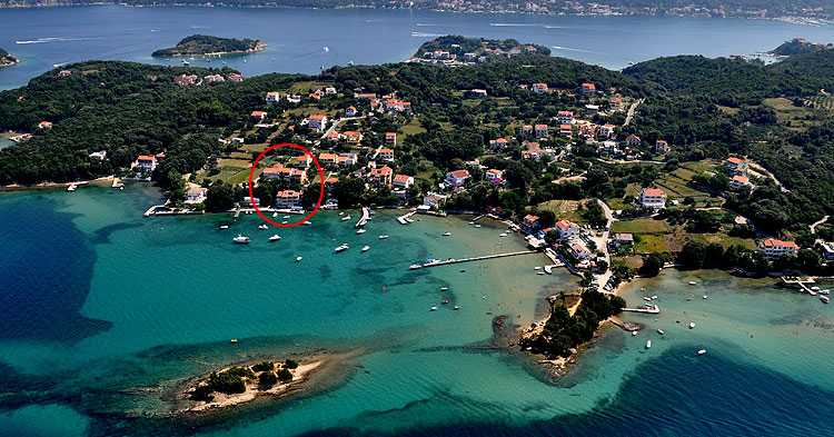 Gonar